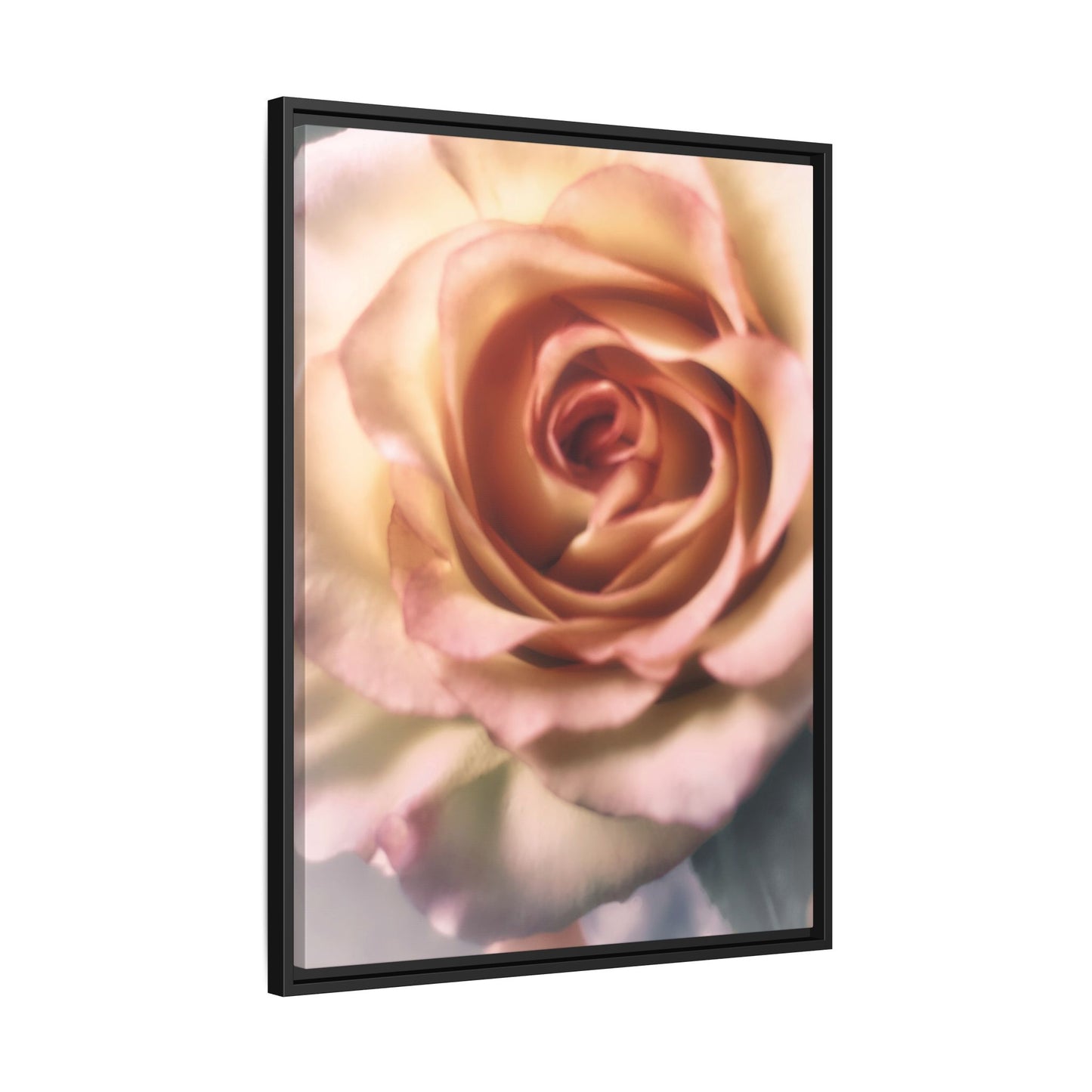 Romance Pink Rose Matte Framed Canvas