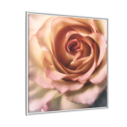 Romance Pink Rose Matte Framed Canvas
