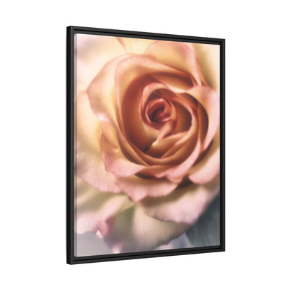 Romance Pink Rose Matte Framed Canvas
