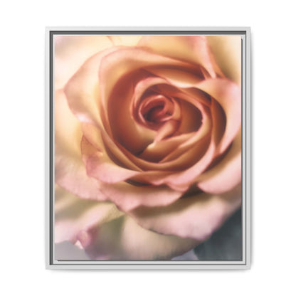Romance Pink Rose Matte Framed Canvas