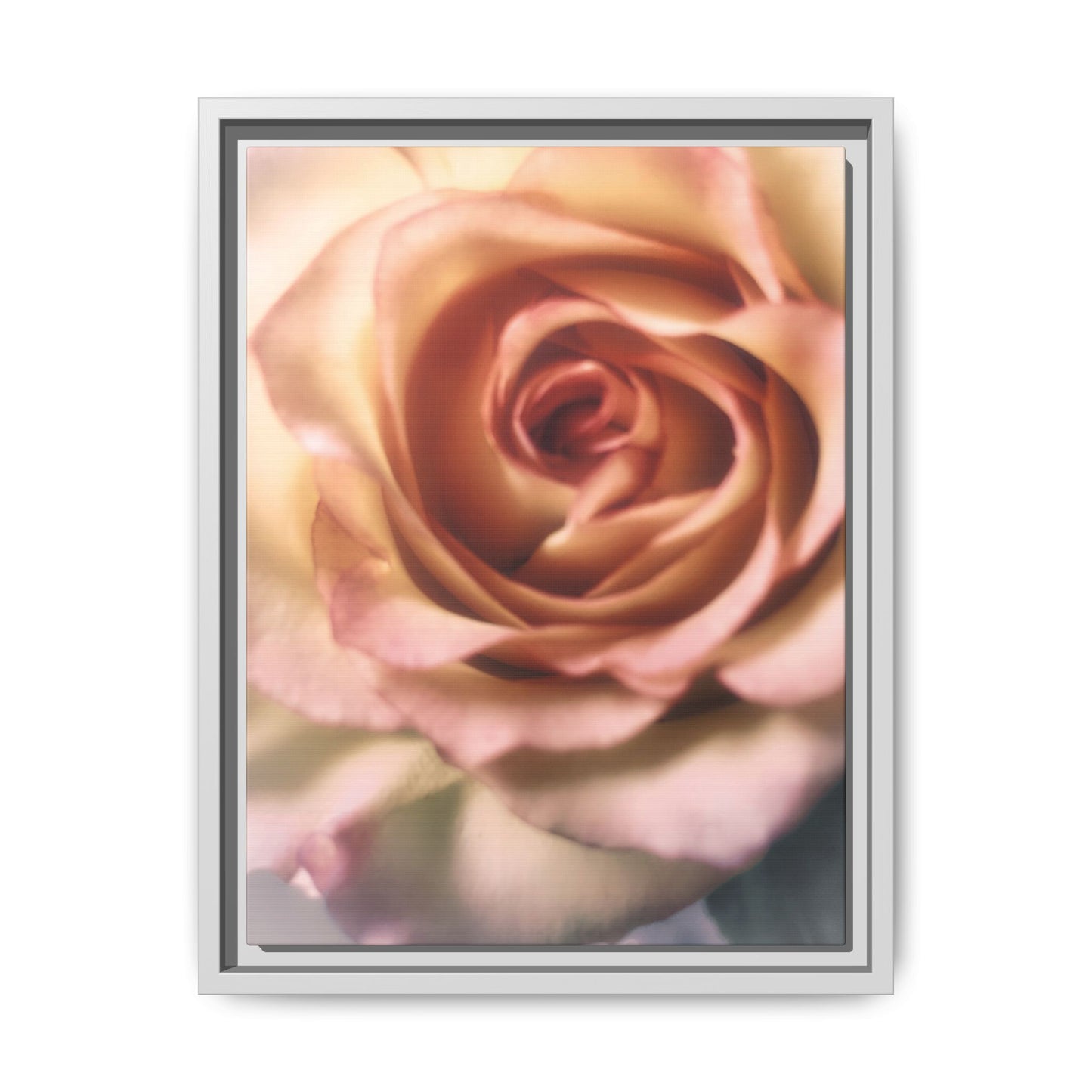 Romance Pink Rose Matte Framed Canvas