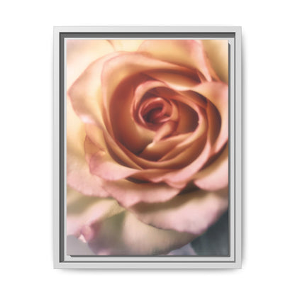 Romance Pink Rose Matte Framed Canvas