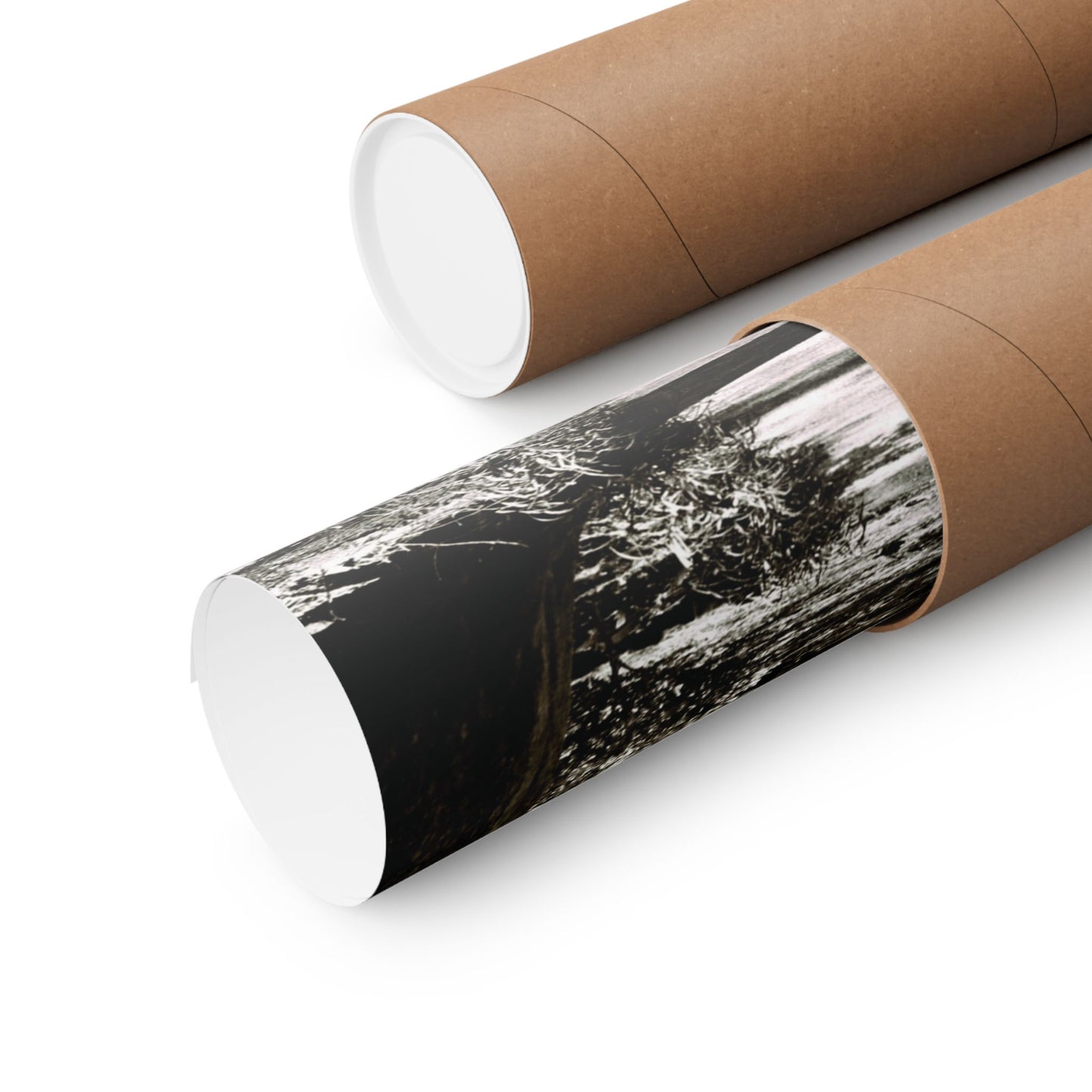 At the Center of the Garden Matte Posters