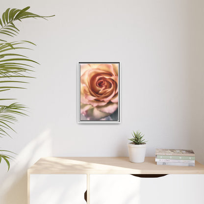 Romance Pink Rose Matte Framed Canvas