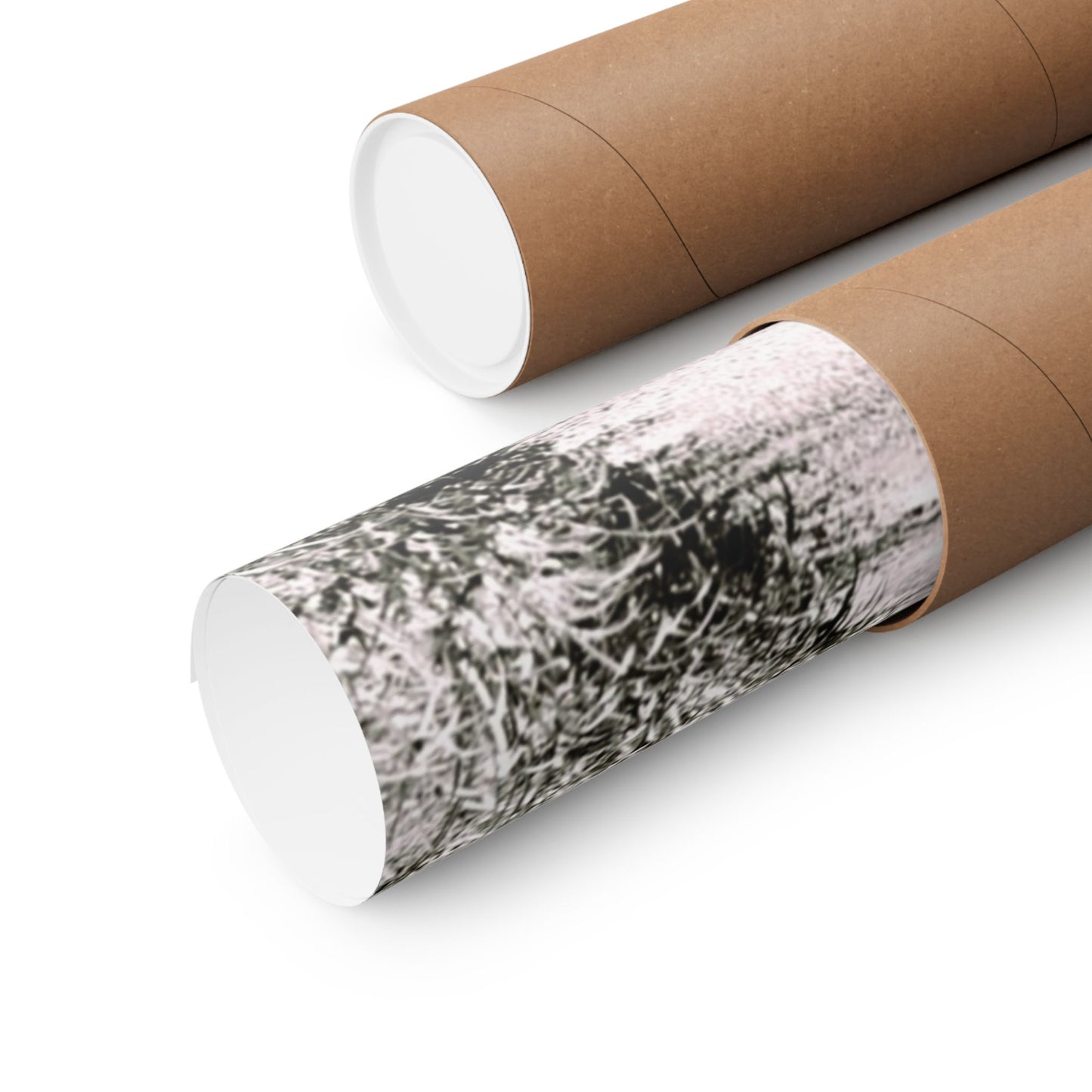 At the Center of the Garden Matte Posters