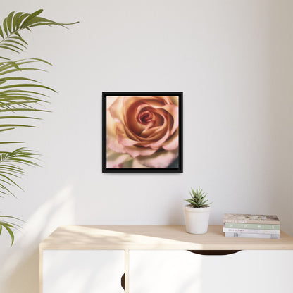 Romance Pink Rose Matte Framed Canvas