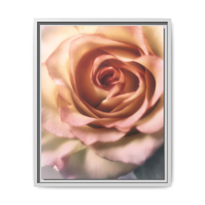 Romance Pink Rose Matte Framed Canvas