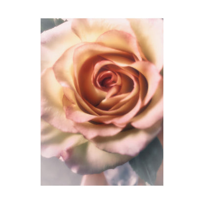 Romance Pink Rose Matte Posters