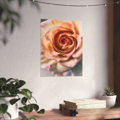 Romance Pink Rose Matte Posters