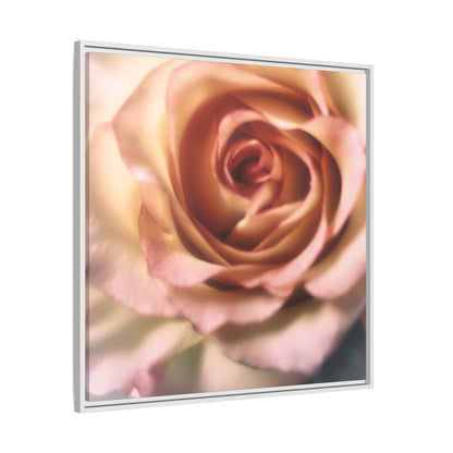 Romance Pink Rose Matte Framed Canvas