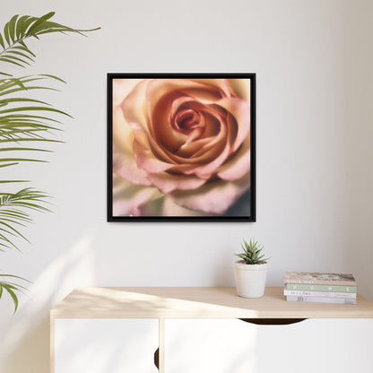 Romance Pink Rose Matte Framed Canvas