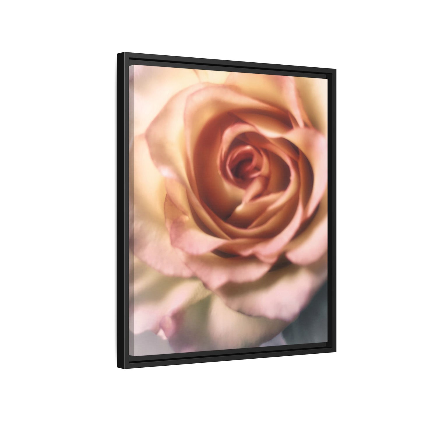 Romance Pink Rose Matte Framed Canvas