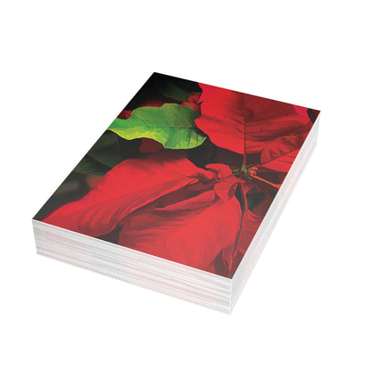 Poinsettia Blank Greeting Cards