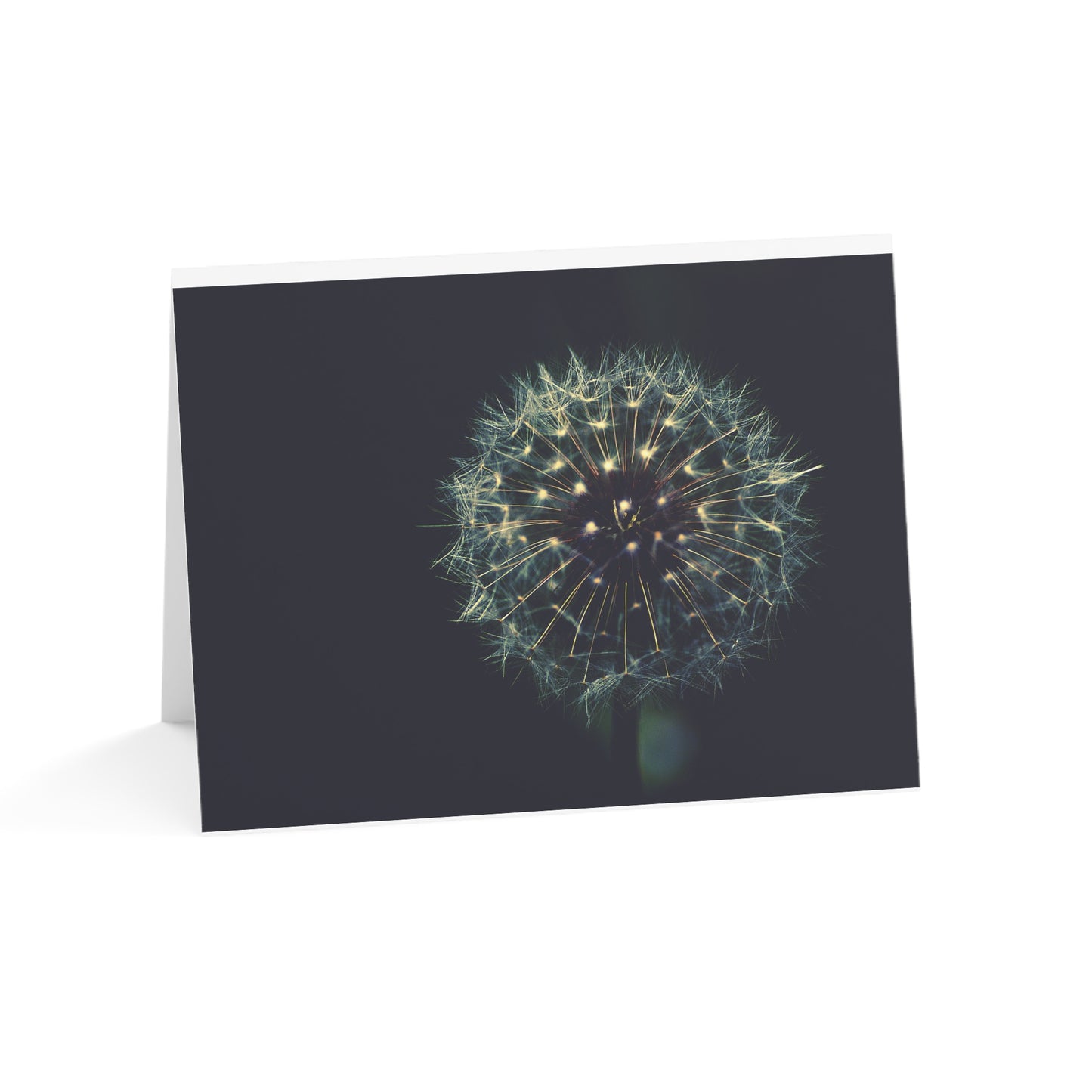 Dandelion Wishes Blank Greeting Cards
