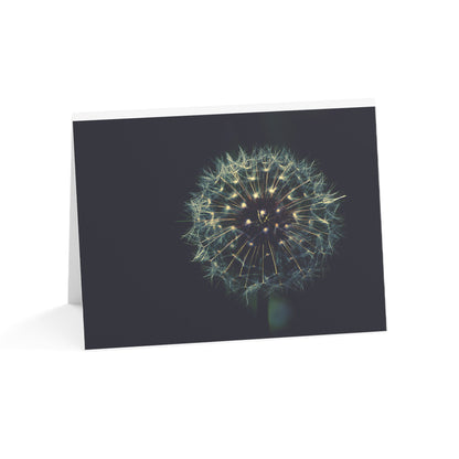 Dandelion Wishes Blank Greeting Cards