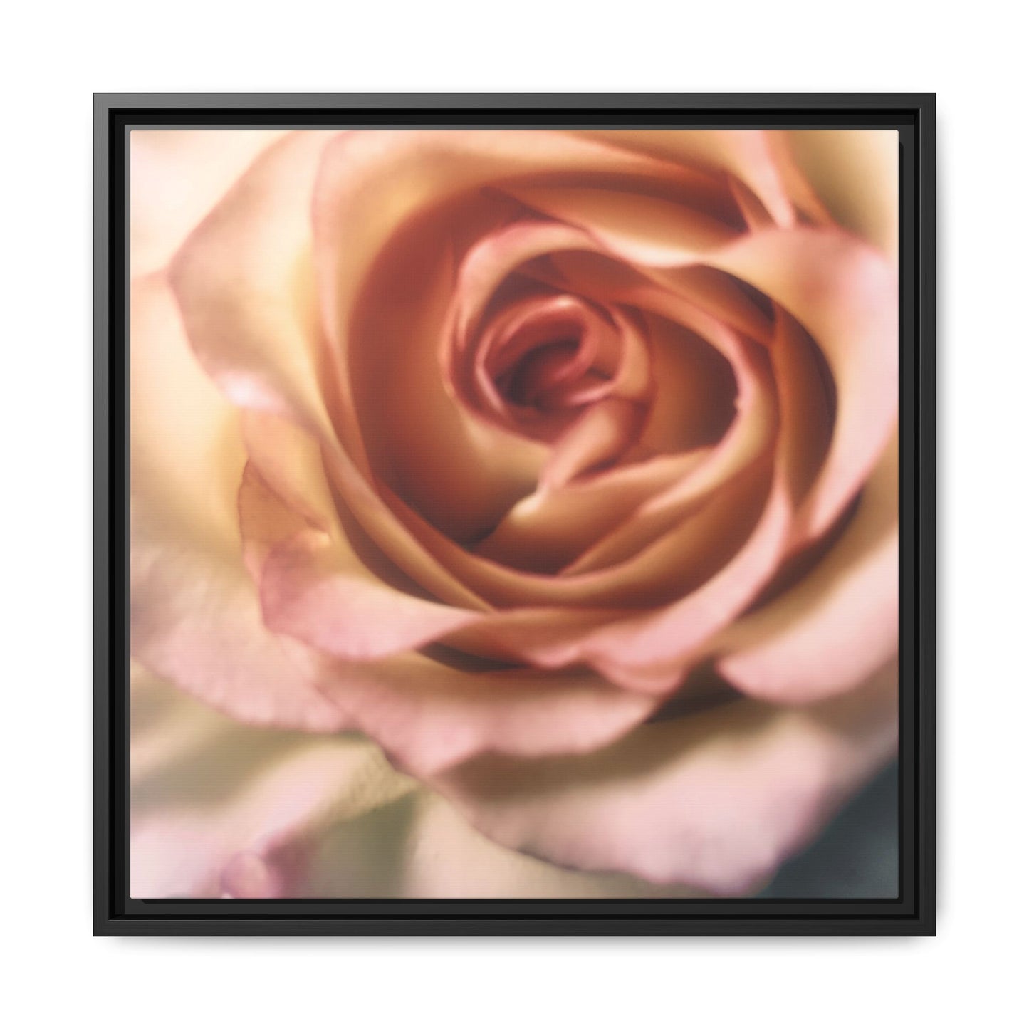 Romance Pink Rose Matte Framed Canvas