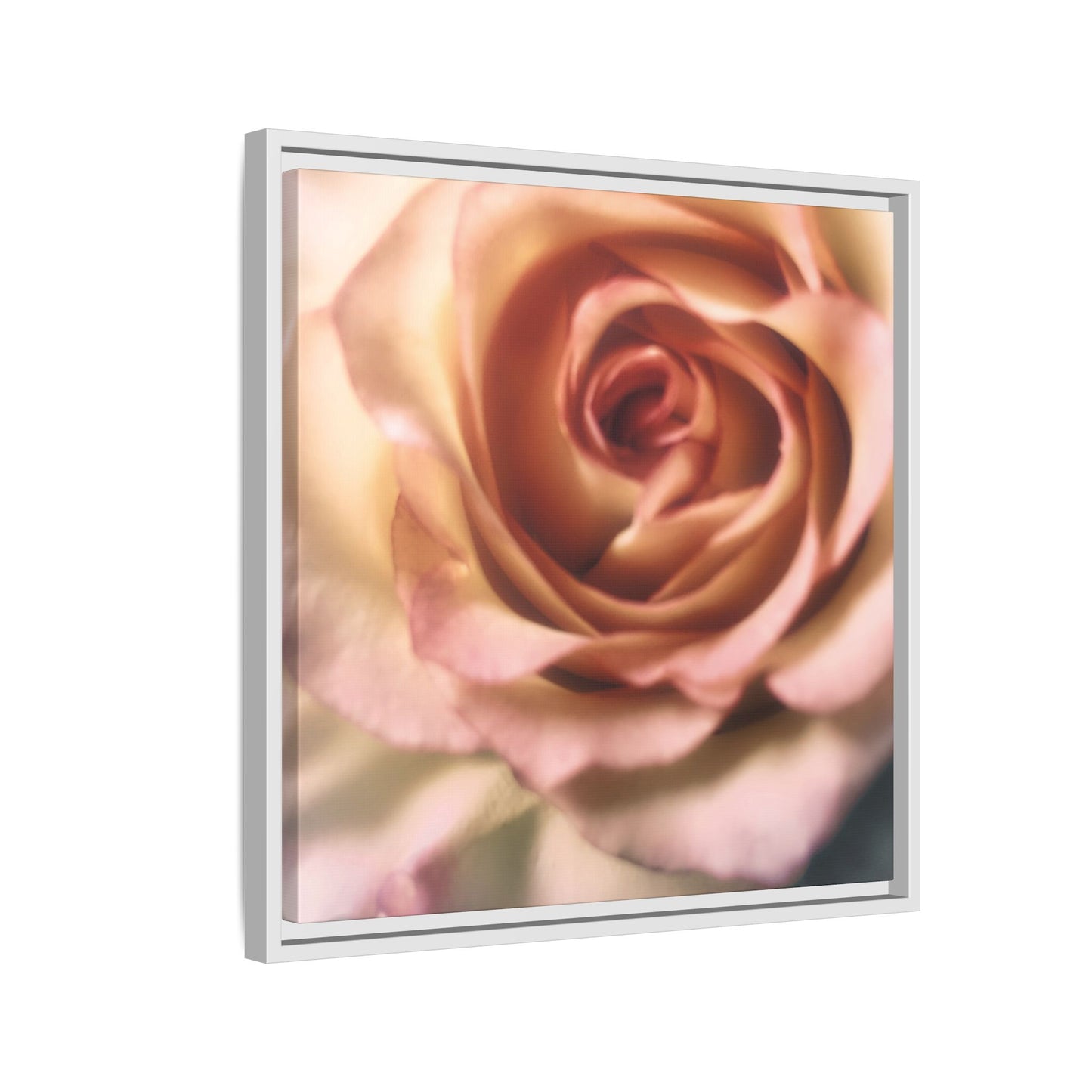 Romance Pink Rose Matte Framed Canvas