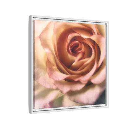 Romance Pink Rose Matte Framed Canvas