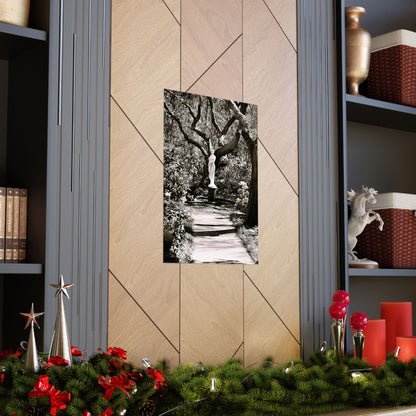 At the Center of the Garden Matte Posters