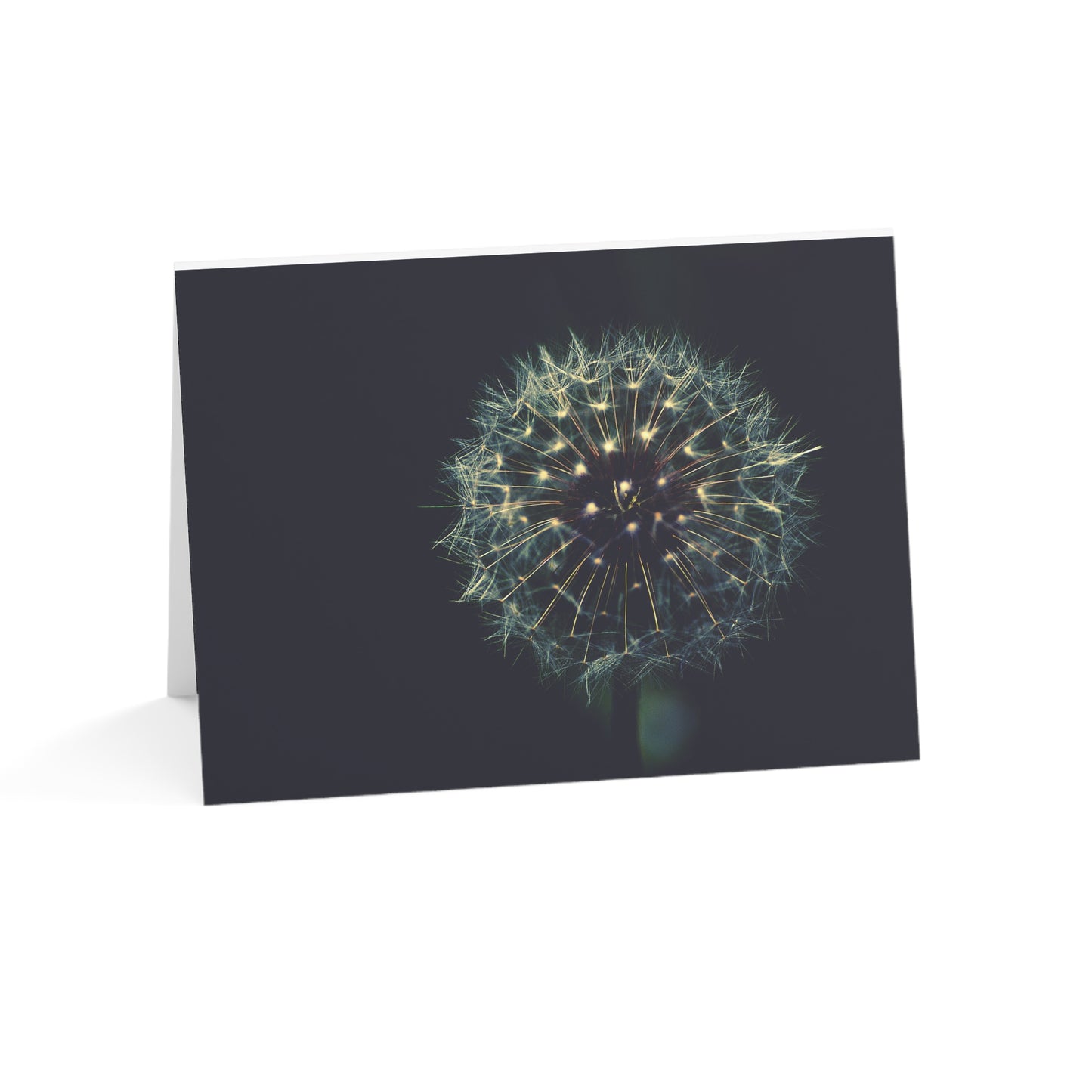 Dandelion Wishes Blank Greeting Cards