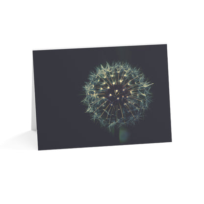Dandelion Wishes Blank Greeting Cards