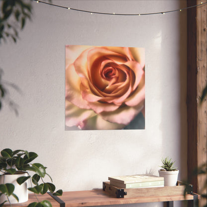 Romance Pink Rose Matte Posters