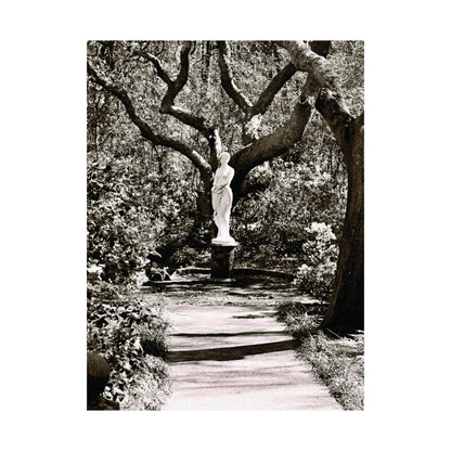 At the Center of the Garden Matte Posters