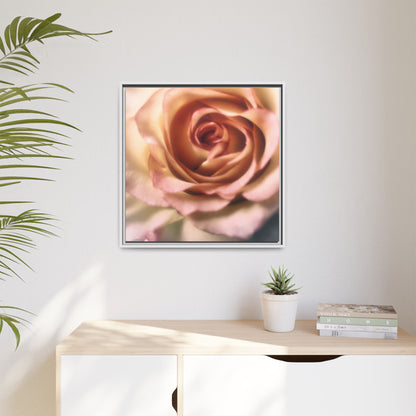 Romance Pink Rose Matte Framed Canvas