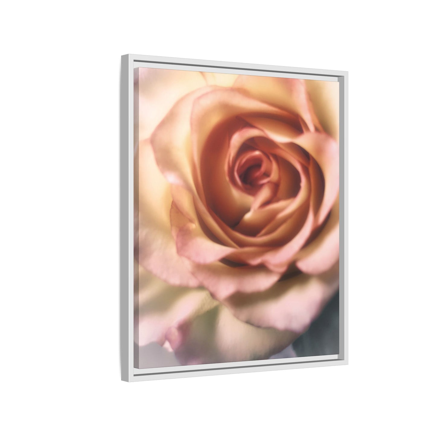 Romance Pink Rose Matte Framed Canvas