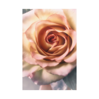 Romance Pink Rose Matte Posters