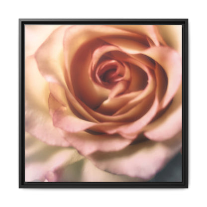 Romance Pink Rose Matte Framed Canvas