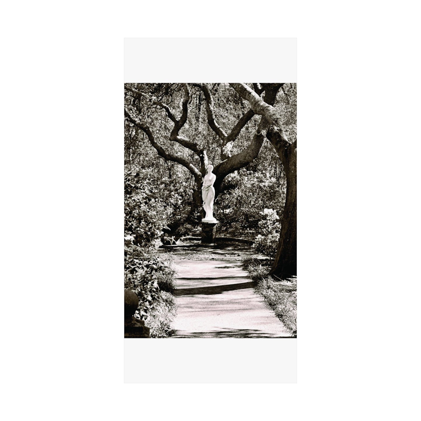 At the Center of the Garden Matte Posters