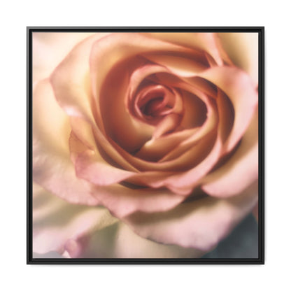 Romance Pink Rose Matte Framed Canvas