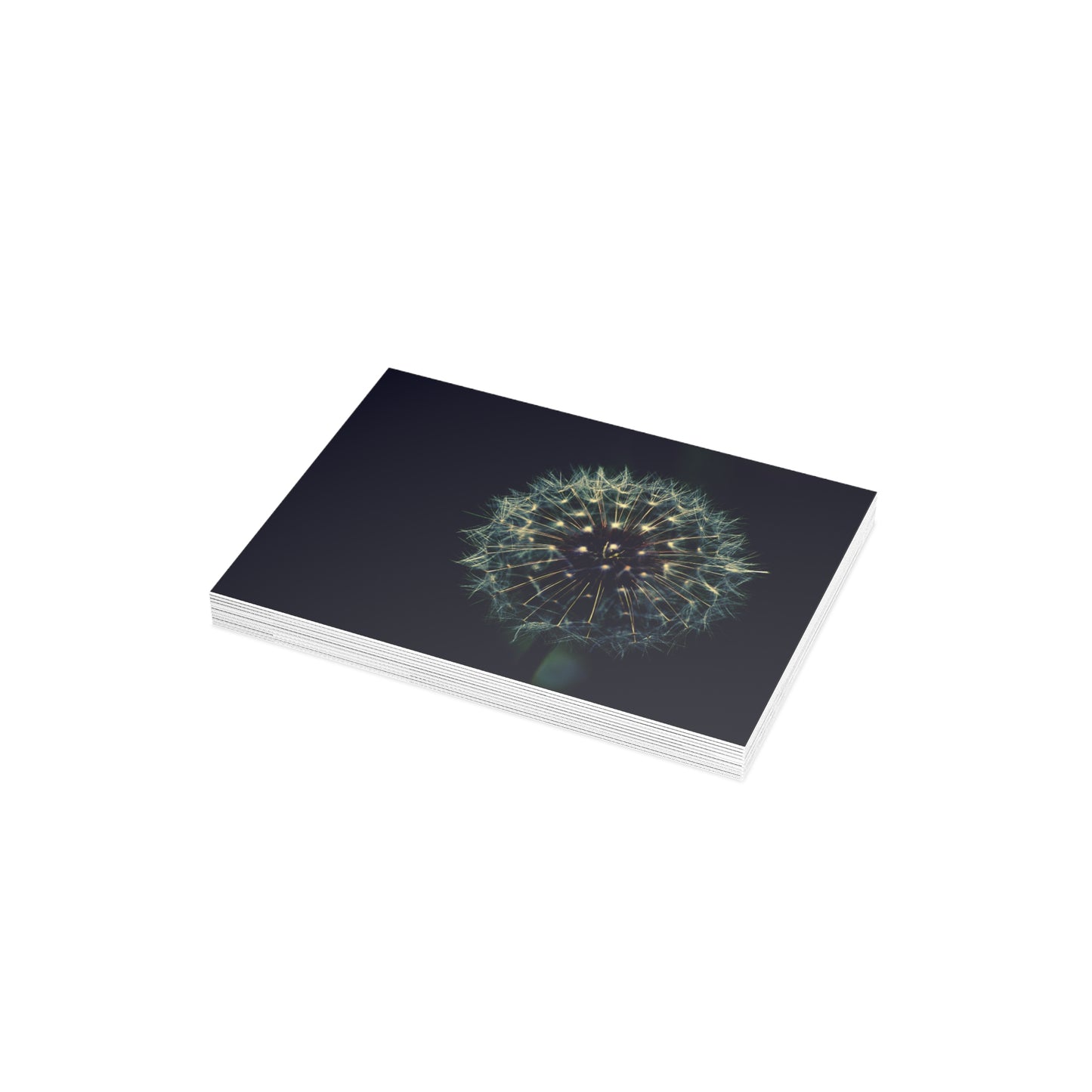 Dandelion Wishes Blank Greeting Cards