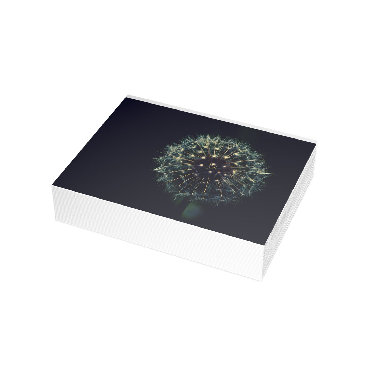 Dandelion Wishes Blank Greeting Cards