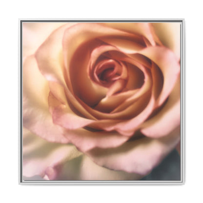 Romance Pink Rose Matte Framed Canvas