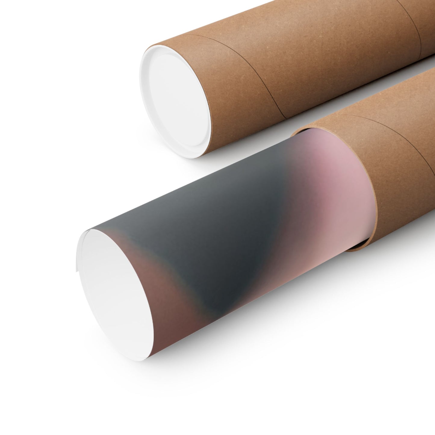 Romance Pink Rose Matte Posters