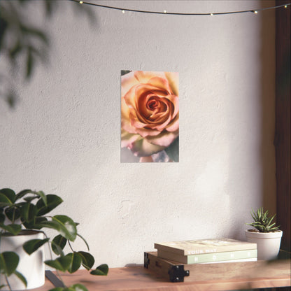 Romance Pink Rose Matte Posters
