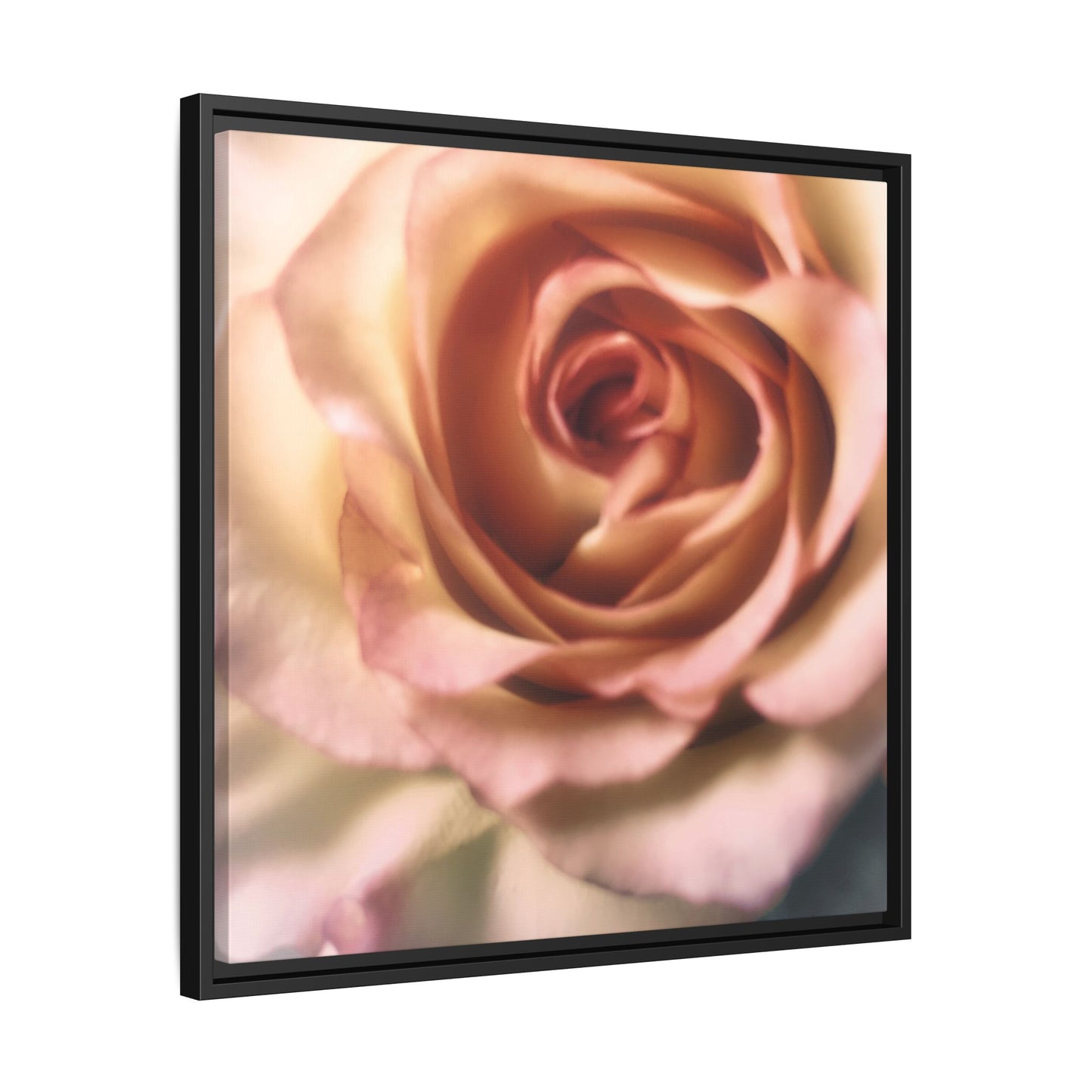 Romance Pink Rose Matte Framed Canvas