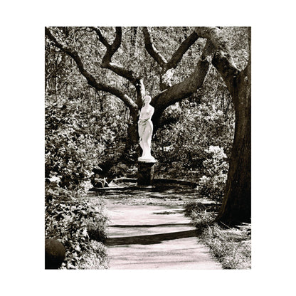 At the Center of the Garden Matte Posters