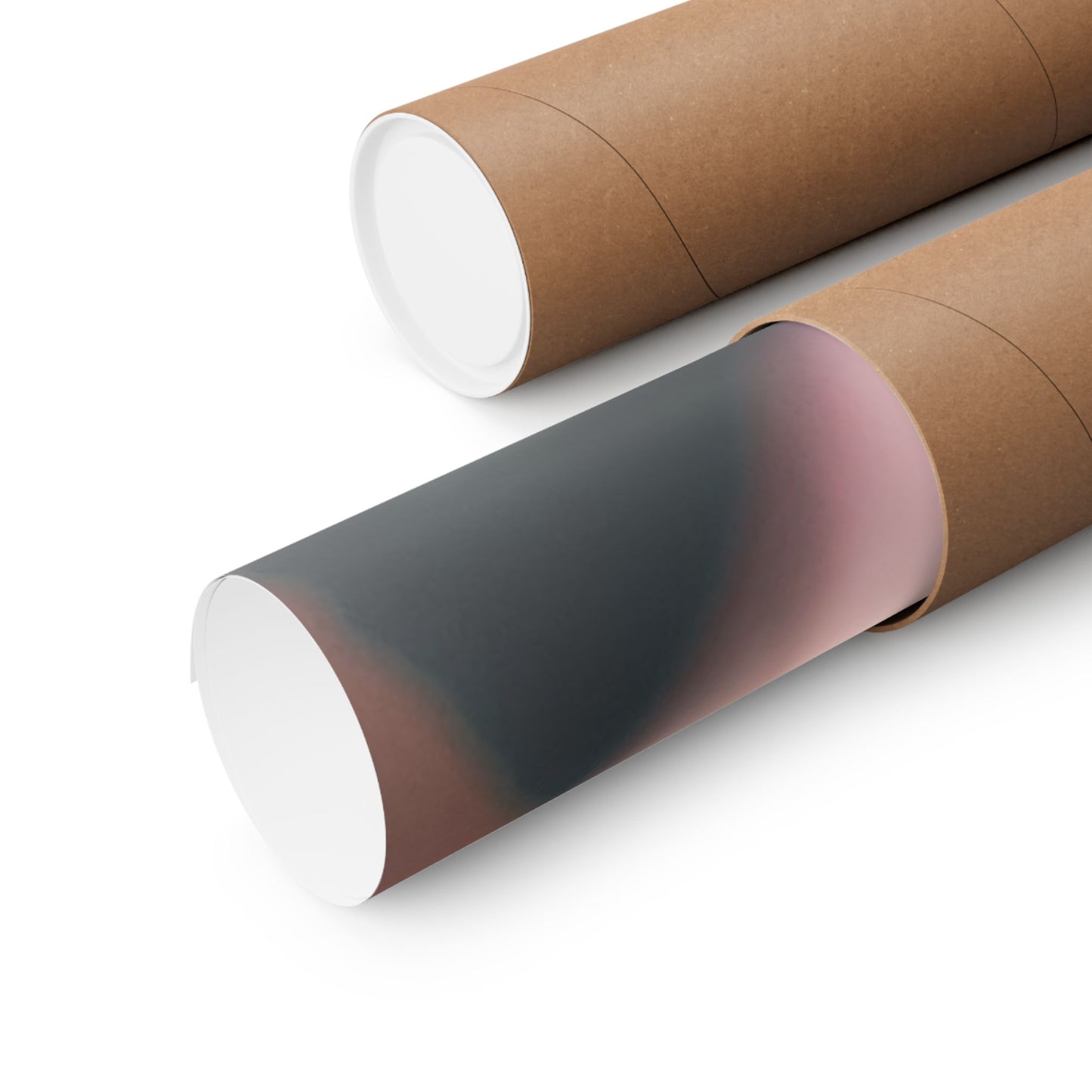 Romance Pink Rose Matte Posters