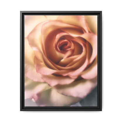 Romance Pink Rose Matte Framed Canvas