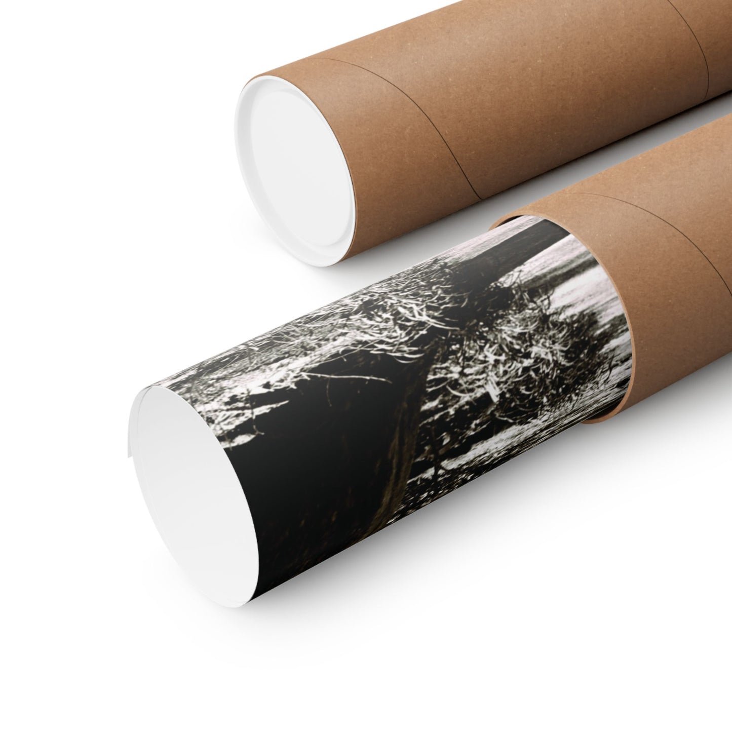 At the Center of the Garden Matte Posters