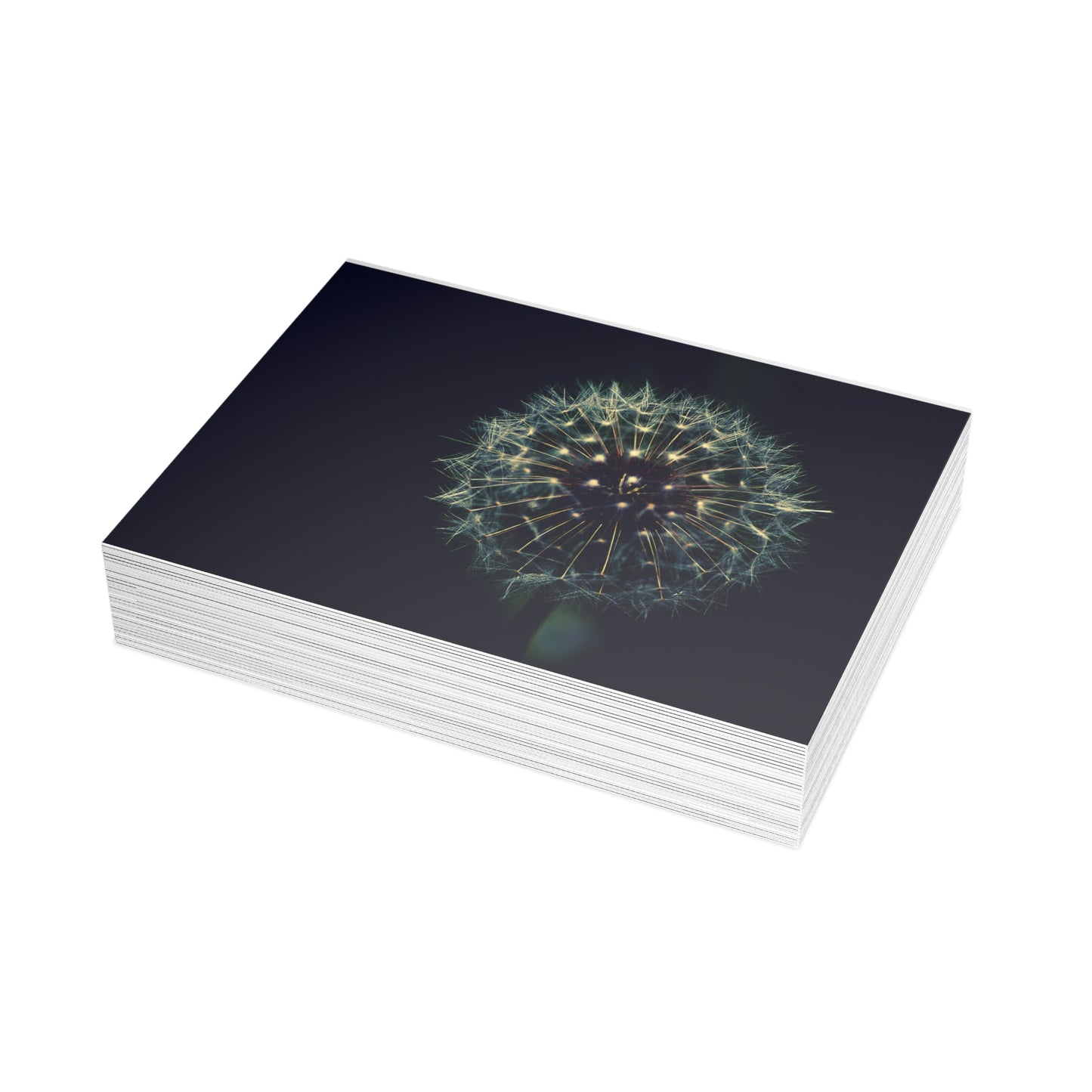 Dandelion Wishes Blank Greeting Cards
