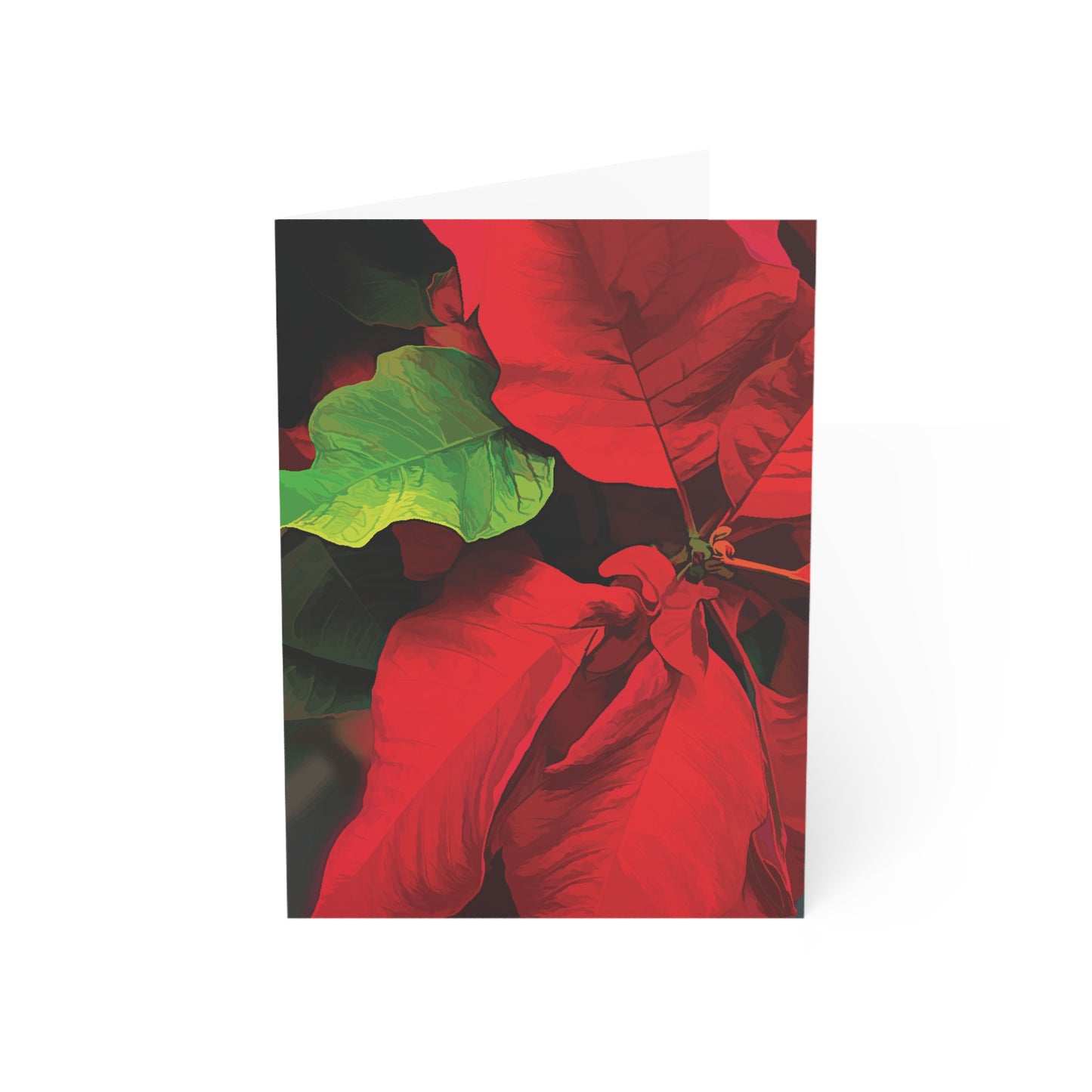 Poinsettia Blank Greeting Cards