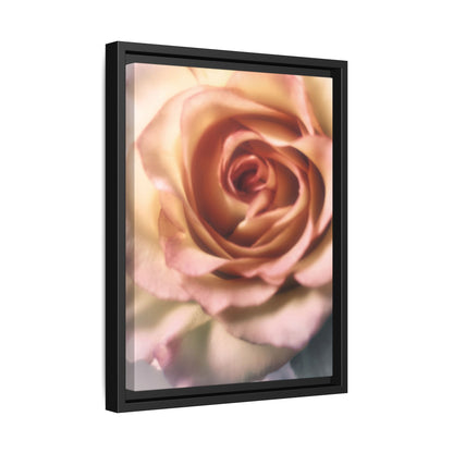 Romance Pink Rose Matte Framed Canvas