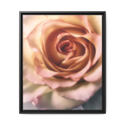Romance Pink Rose Matte Framed Canvas