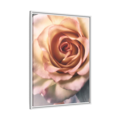 Romance Pink Rose Matte Framed Canvas