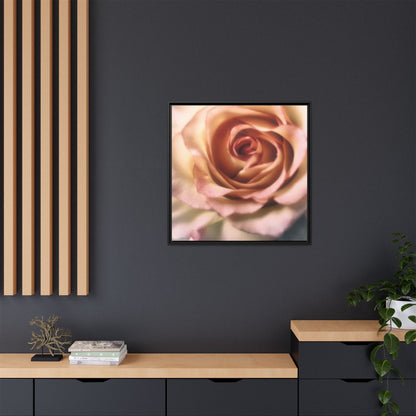 Romance Pink Rose Matte Framed Canvas