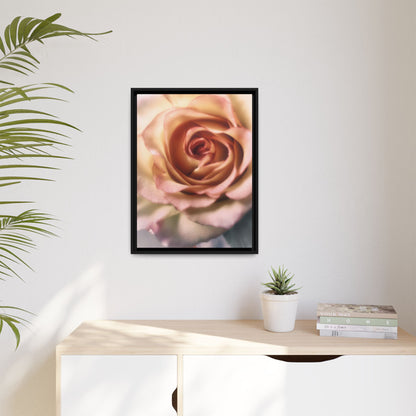 Romance Pink Rose Matte Framed Canvas